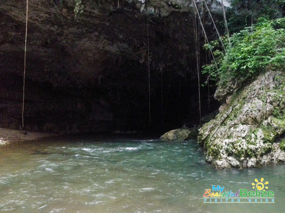 Amigos Jungle Tours-14