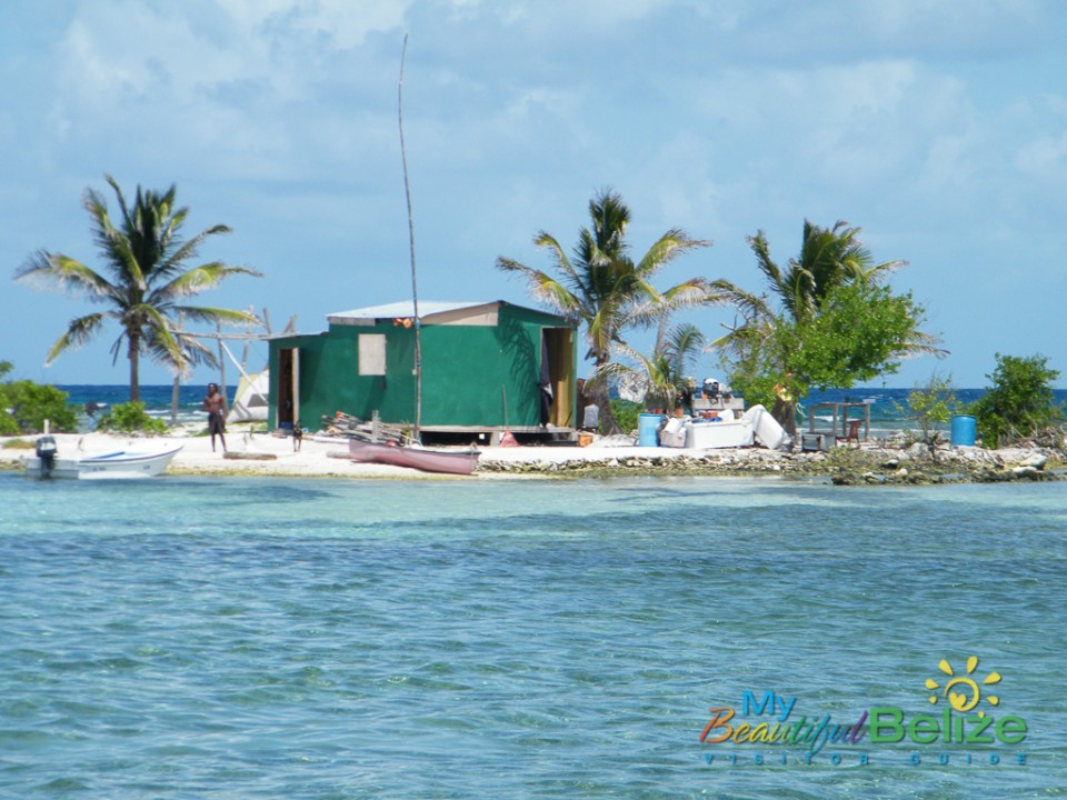 Turneffe Atoll 5