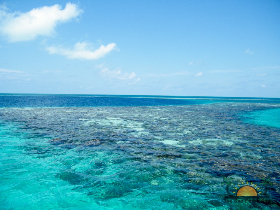 blue-hole-with-amigos-del-mar-79