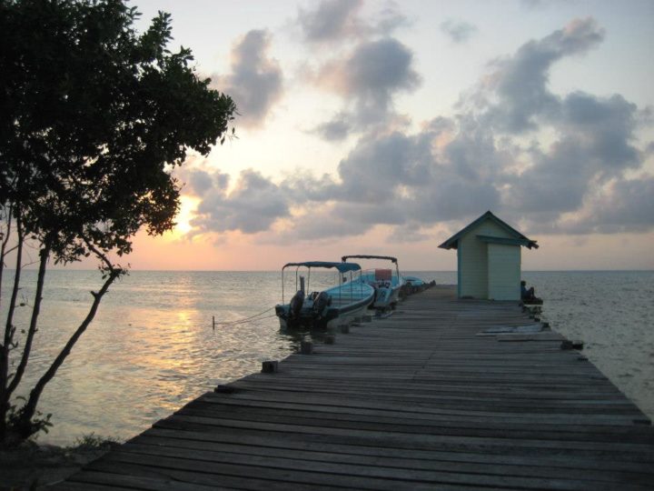 glover's reef 1