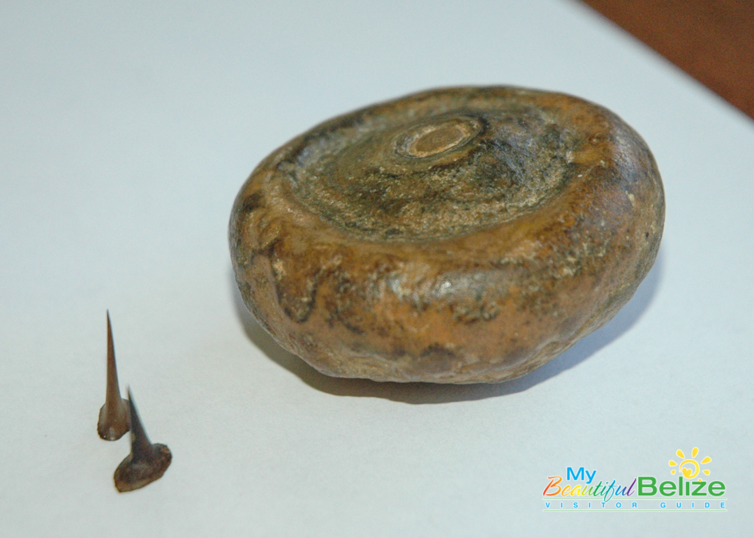 (L) Acupuncture thorns, (R) Sastun