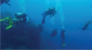 Directory_Activities